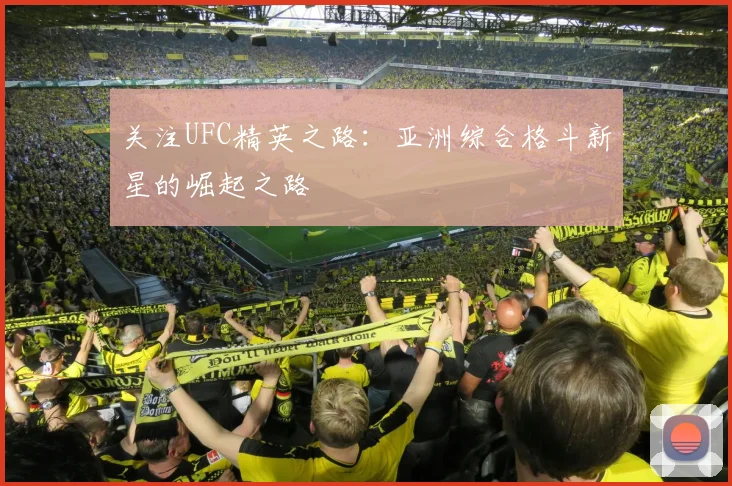 关注UFC精英之路：亚洲综合格斗新星的崛起之路