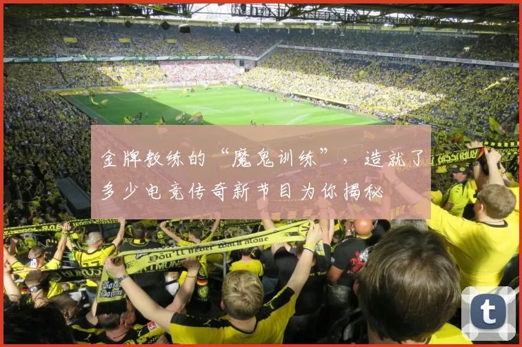 金牌教练的“魔鬼训练”，造就了多少电竞传奇新节目为你揭秘