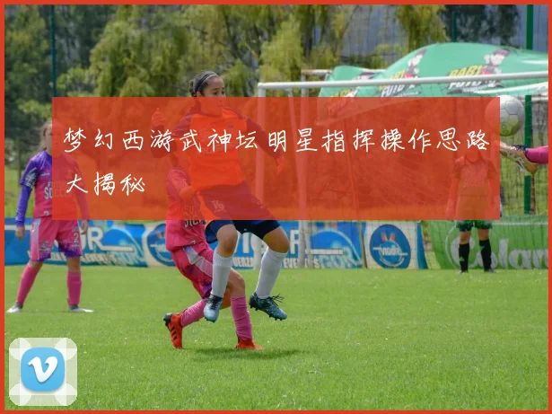 梦幻西游武神坛明星指挥操作思路大揭秘